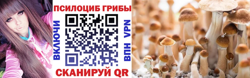 Галлюциногенные грибы мицелий Черняховск