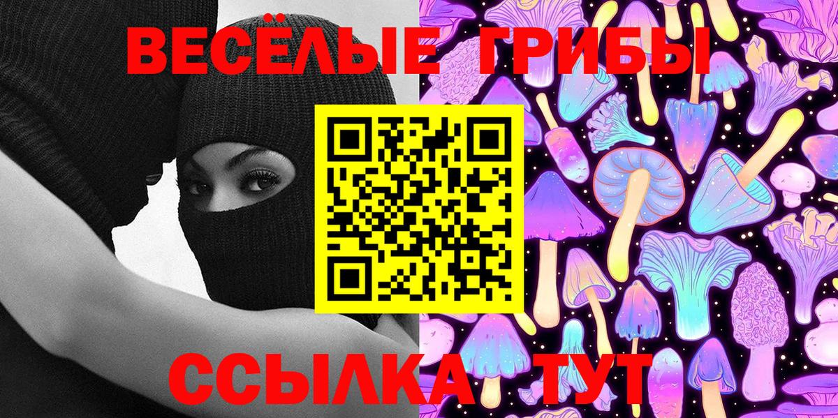 Псилоцибиновые грибы мухоморы  Вход с VPN  Псилоцибиновые грибы ЛСД  Черняховск 