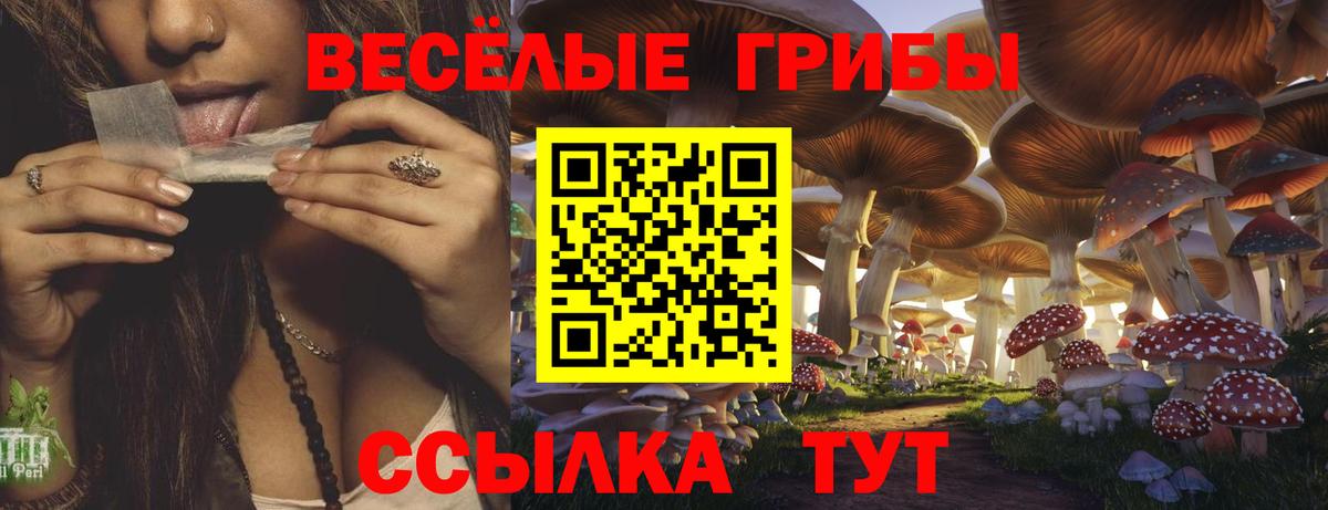 Галлюциногенные грибы мицелий Черняховск